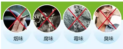 14994098277051862gRT.png 1498446369238846.png